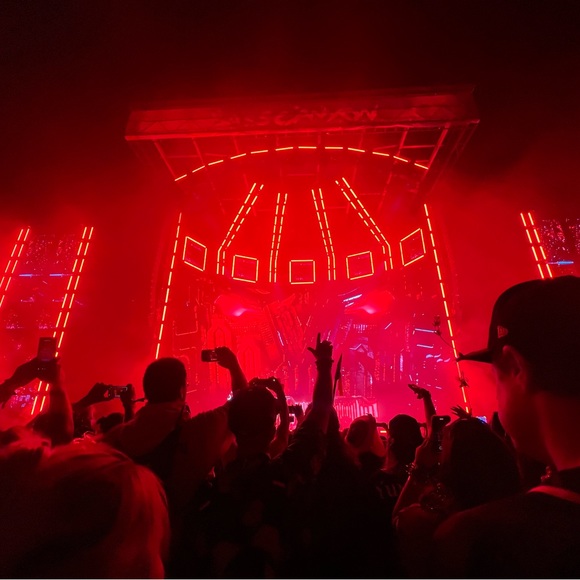 Meet your Posher, Martika - Picture 4 of 4